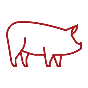 an icon of a pig to represent hogs