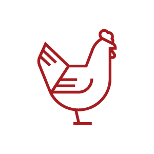 an icon of a chicken to represent poultry